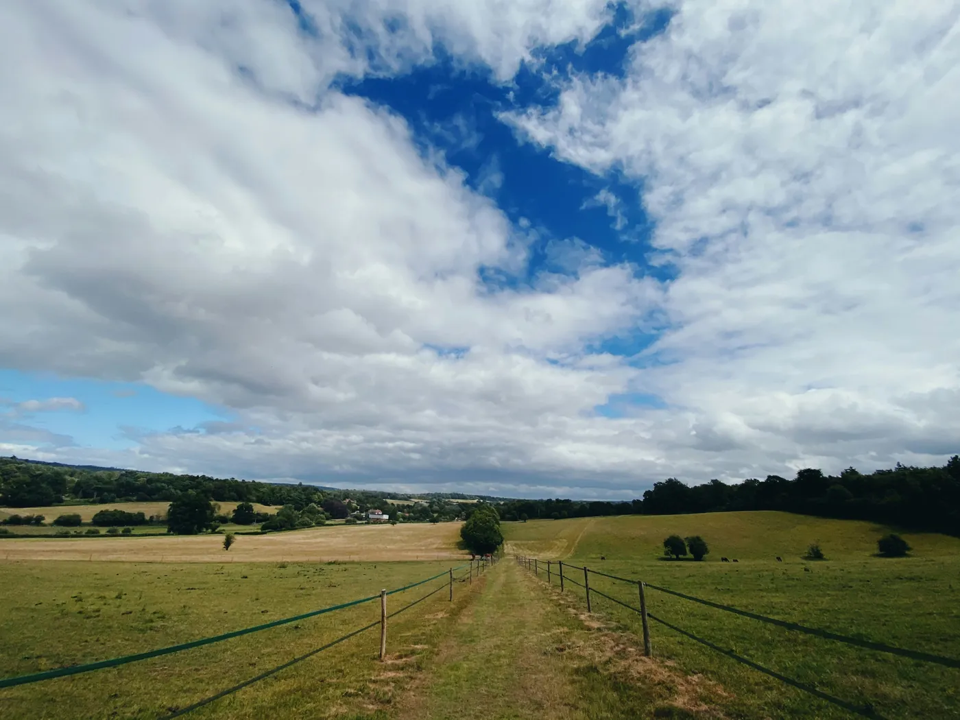 Rolling farmland in the Surrey countryside