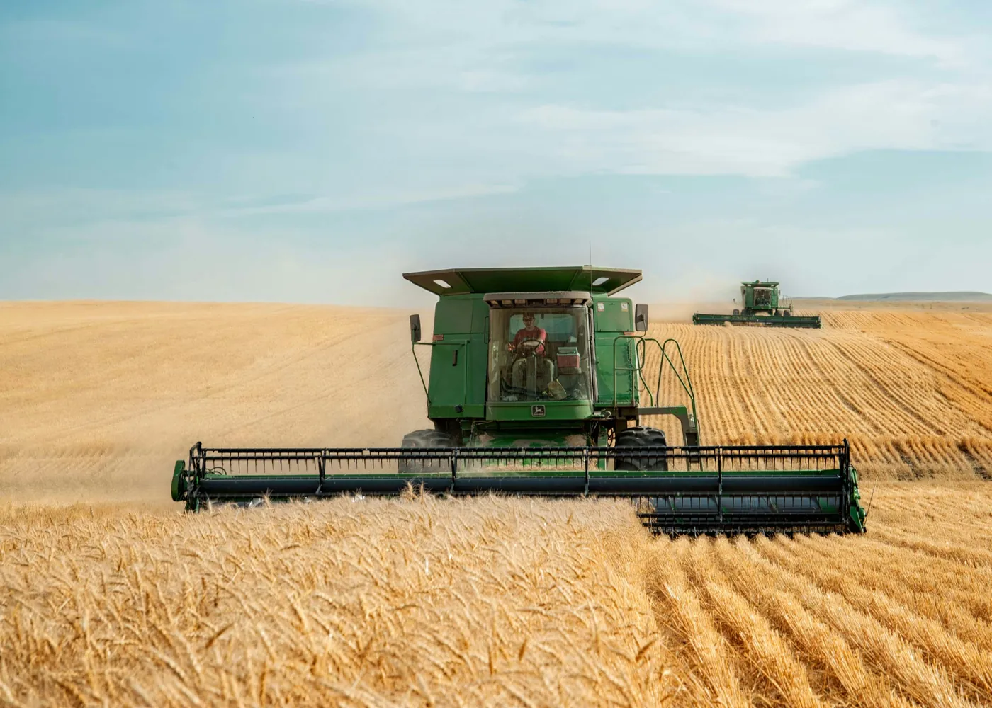Combine harvesters bringing in a cereal crop