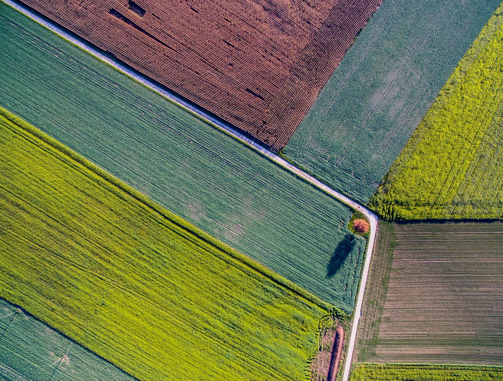Aerial view of patchwork farmland across the South East of England