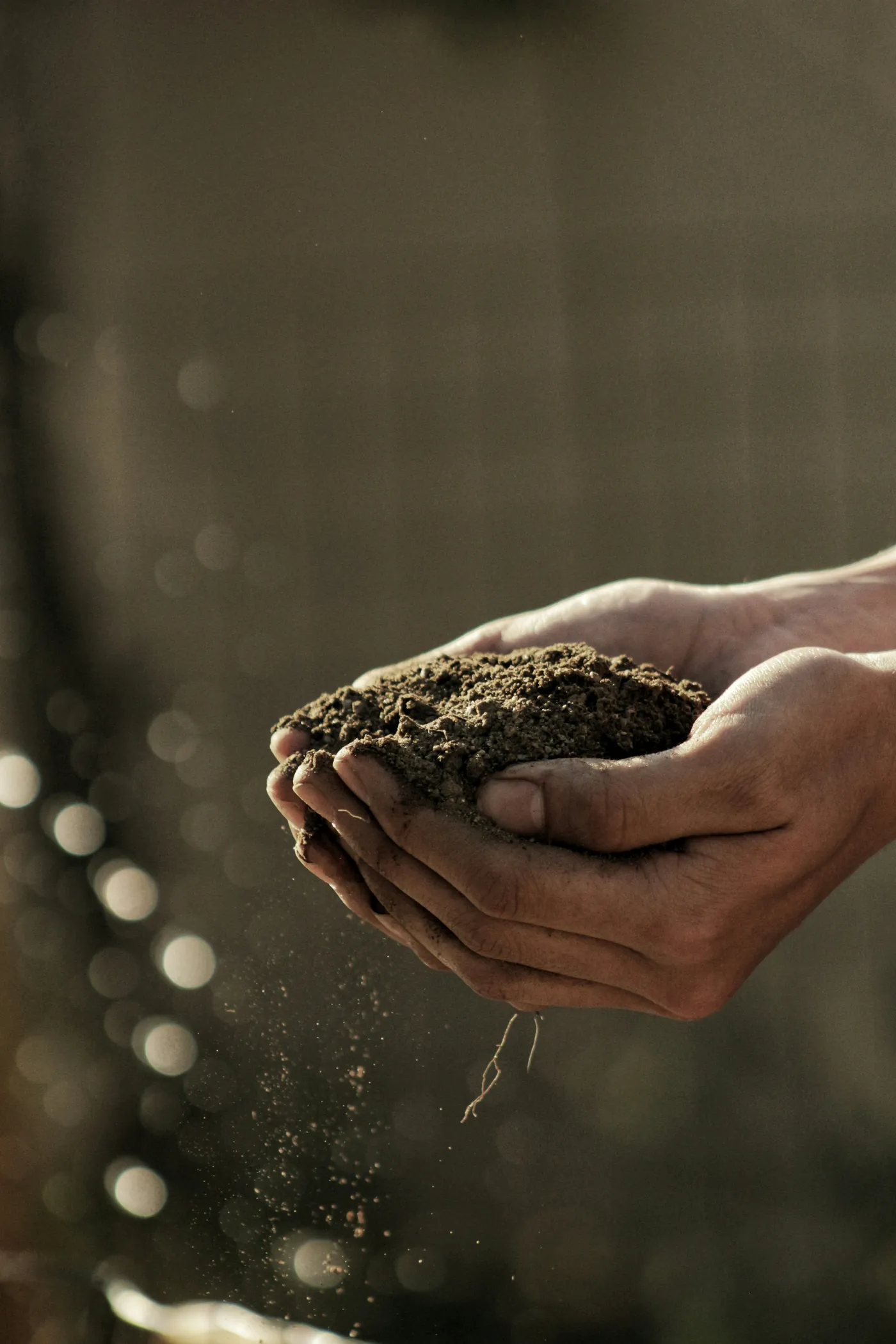 Close-up of healthy soil being examined by hand